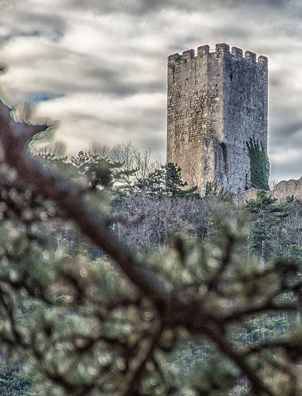 Malerische Ruine Rauheneck 2018 © Dittrich