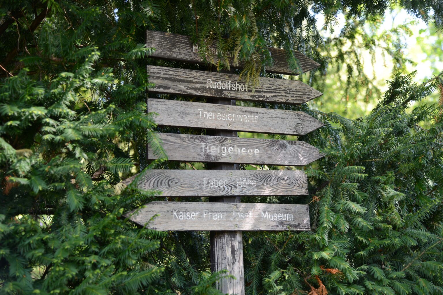 Wegweiser im Kurpark 2018 © Berger