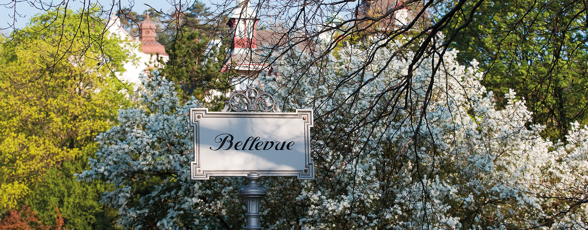 Metalltafel mit Aufschrift „Bellevueplatz“ vor weiß blühendem Strauch und frischem Grün.