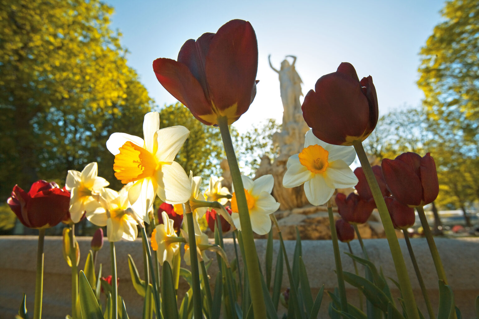 Bunte Blumen im Vordergrund, dahinter Brunnenfigur im warmen Abendlicht.